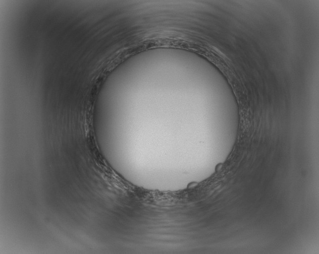 X0000074030774200608211135