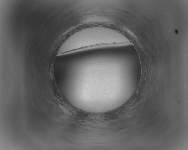 X0000074030775200608211135
