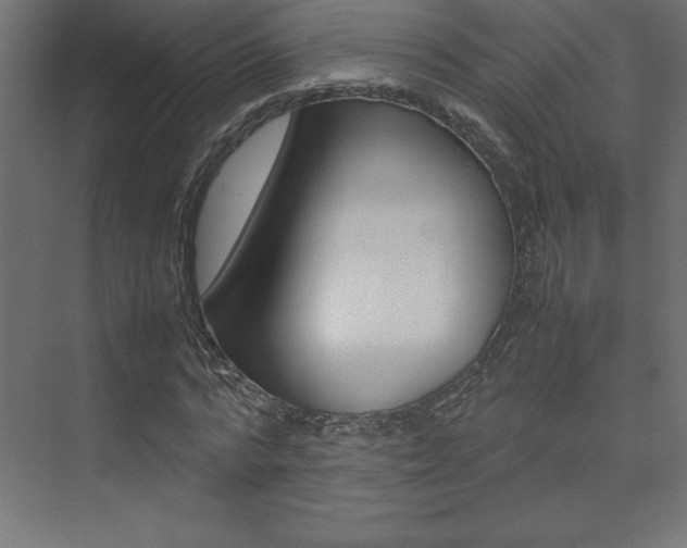 X0000074030776200608211135