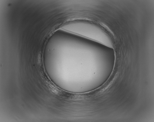 X0000074030777200608211135