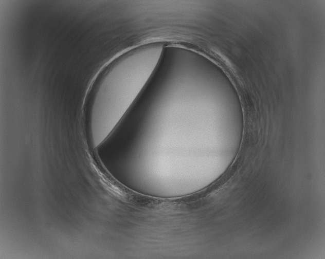 X0000074030779200608211135
