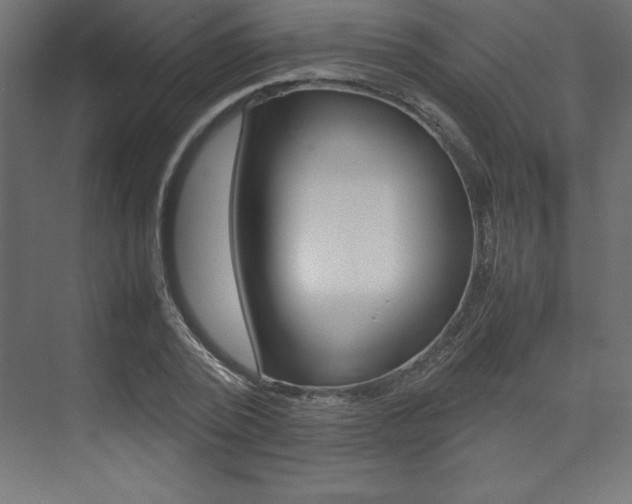 X0000074030784200608211135