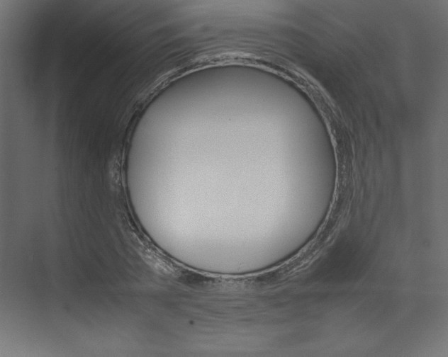 X0000074030785200608211135