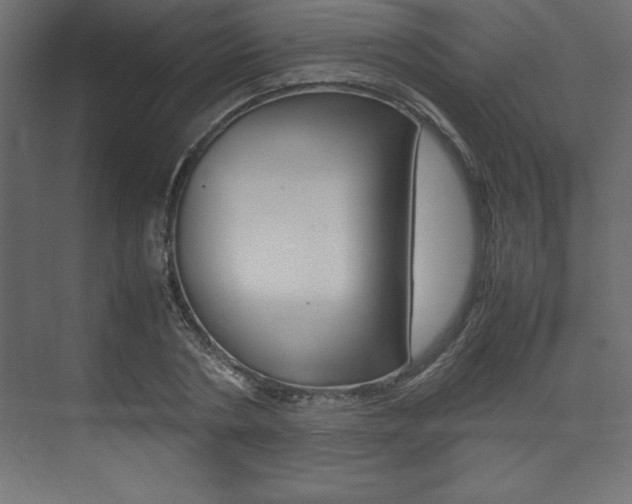 X0000074030786200608211135