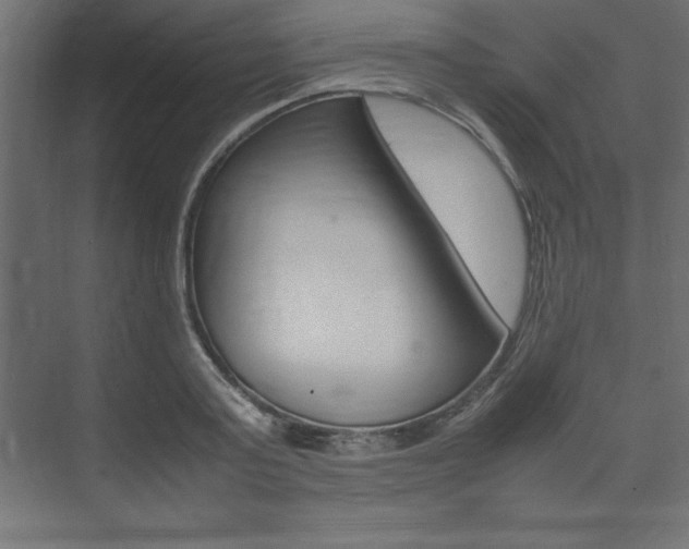 X0000074030795200608211135