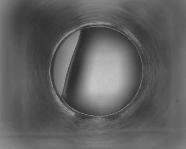 X0000074030797200608211135