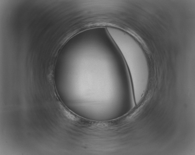 X0000074030801200608211135