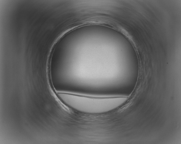 X0000074030803200608211135