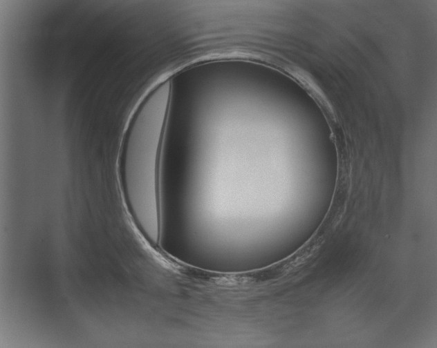 X0000074030805200608211135