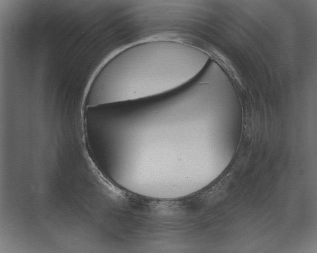 X0000074030808200608211134
