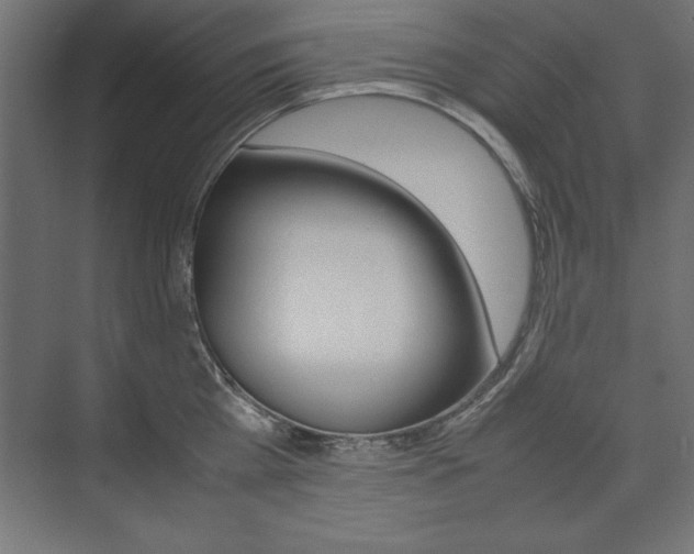 X0000074030809200608211134