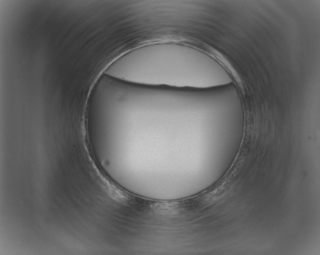 X0000074030810200608211134