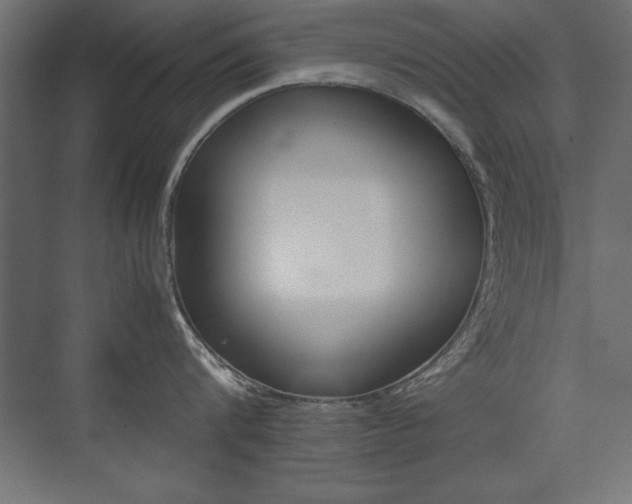 X0000074030816200608211134