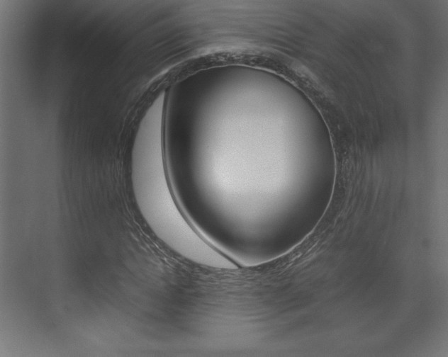 X0000074030822200608211134