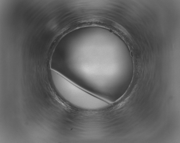 X0000074030826200608211134