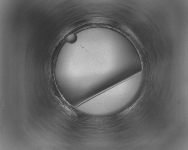 X0000074030829200608211134