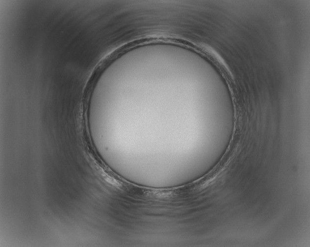 X0000074030831200608211134