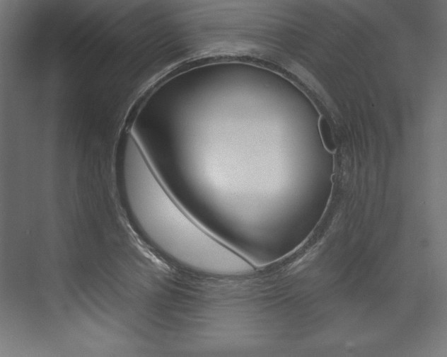 X0000074030834200608211134