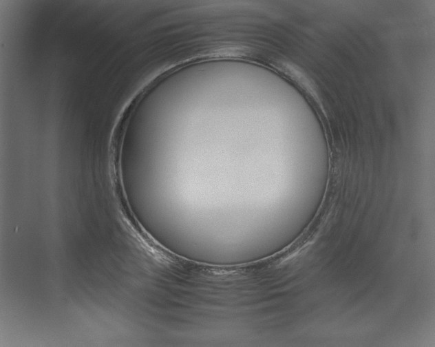 X0000074030835200608211134