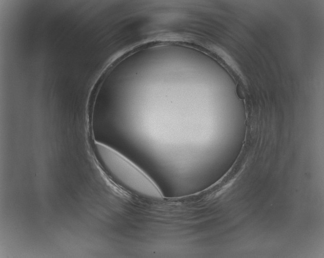 X0000074030837200608211134