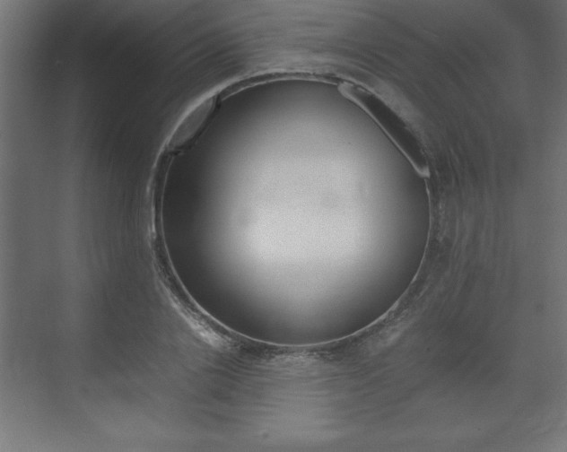 X0000074030838200608211134