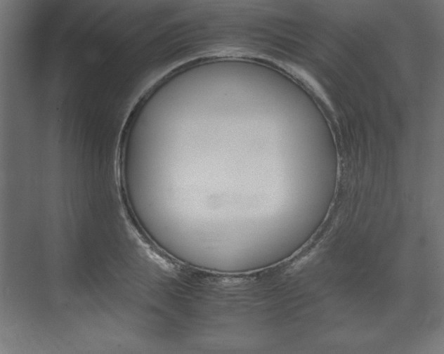 X0000074030839200608211134