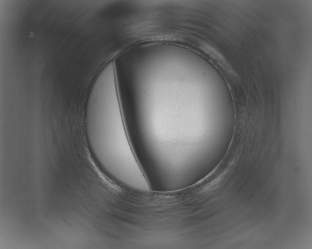 X0000074030841200608211134