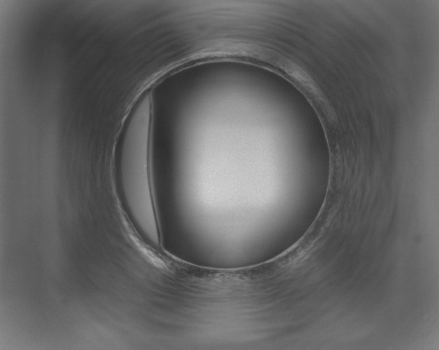 X0000074030842200608211134
