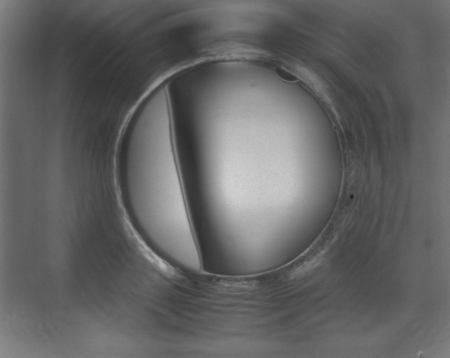 X0000074030843200608211134