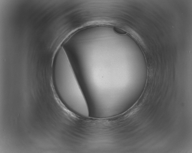 X0000074030844200608211134