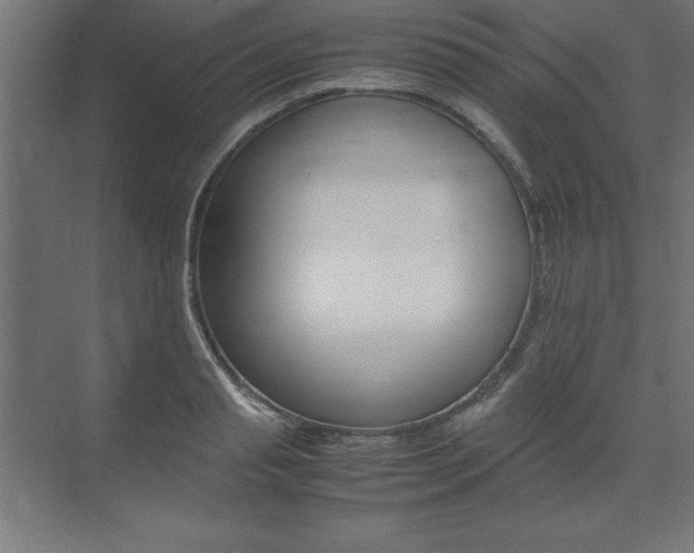X0000074030845200608211134
