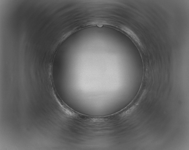 X0000074030849200608211134