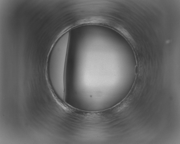 X0000074030850200608211134
