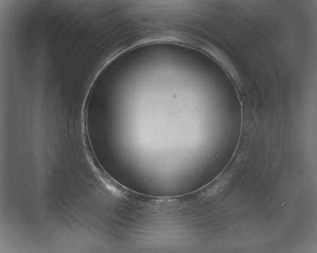 X0000074030858200608211134