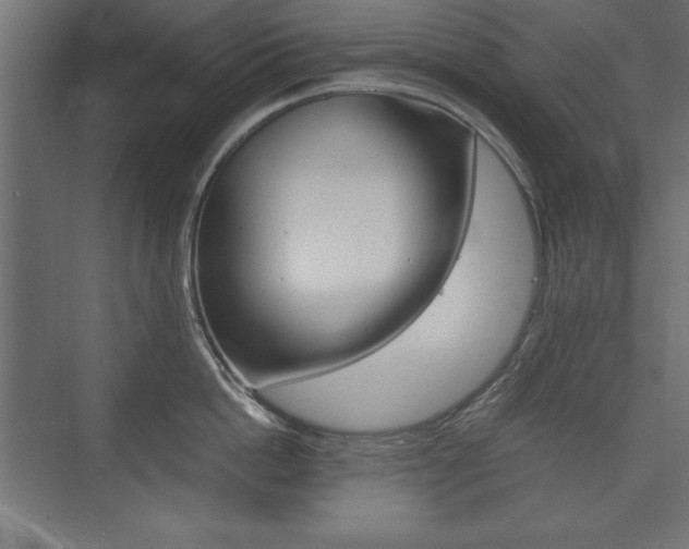 X0000074030862200608211134