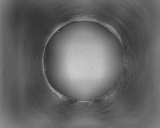 X0000074030863200608211134