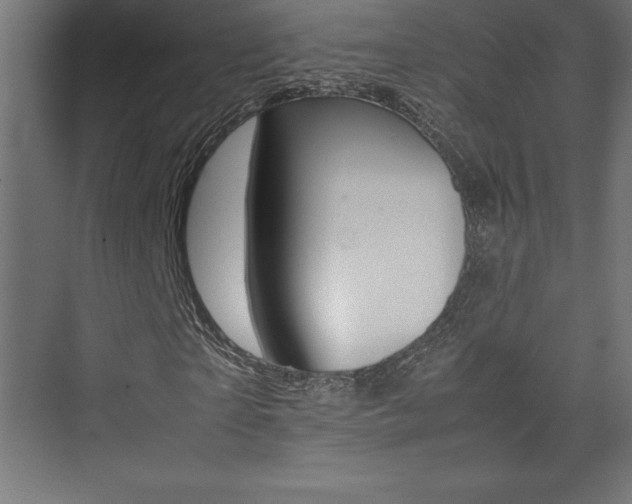 X0000074030865200608211133