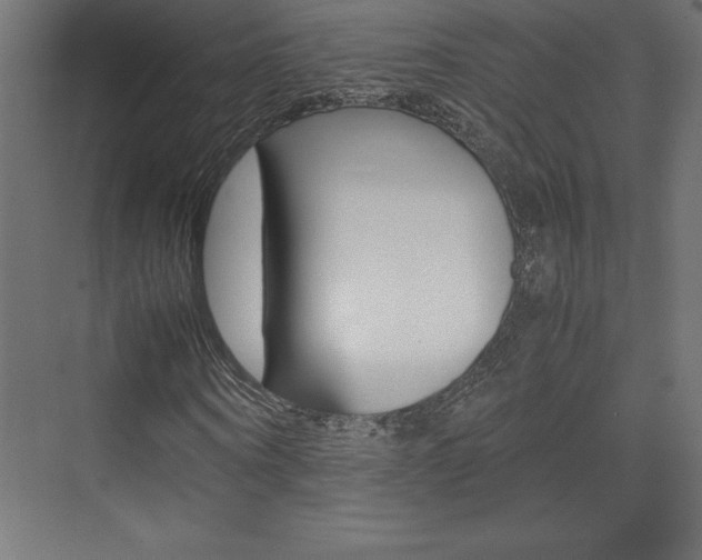 X0000074030866200608211133