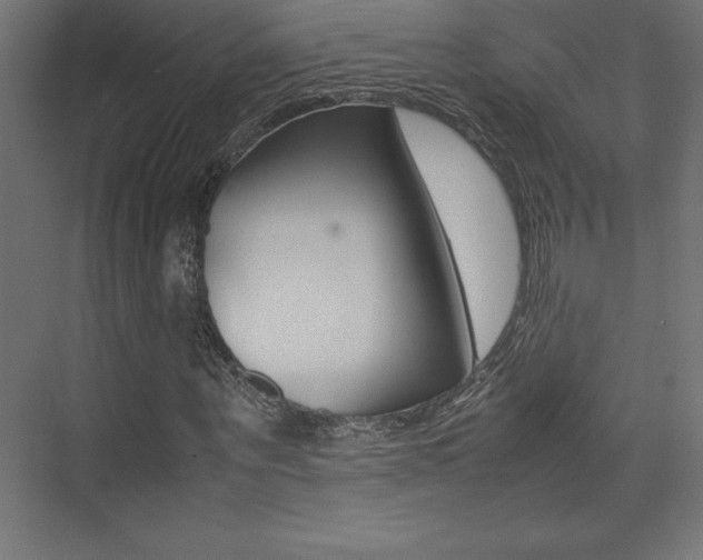 X0000074030867200608211133