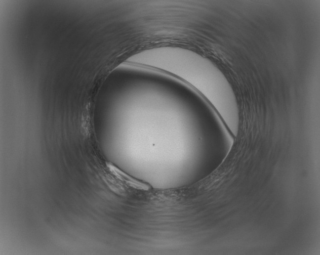 X0000074030868200608211133