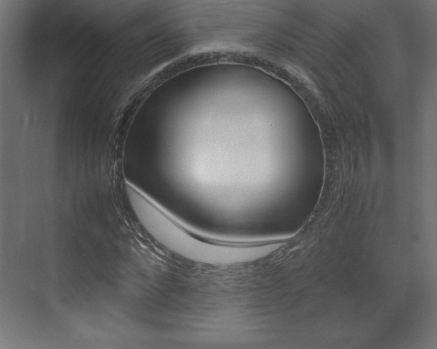 X0000074030872200608211133
