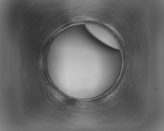 X0000074030873200608211133