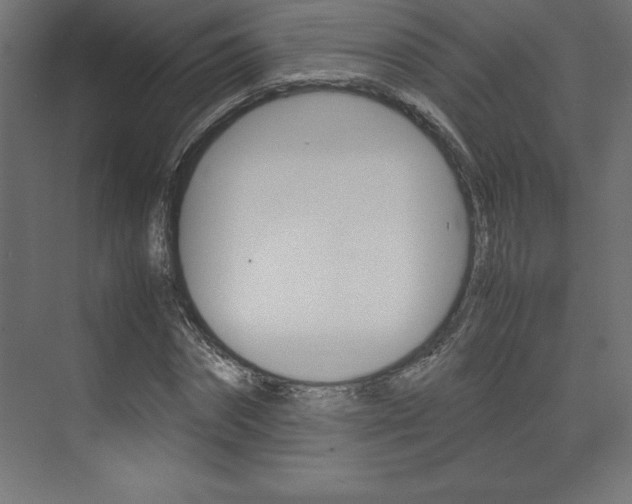 X0000074030874200608211133