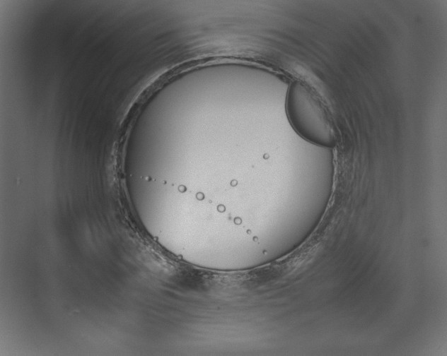 X0000074030875200608211133