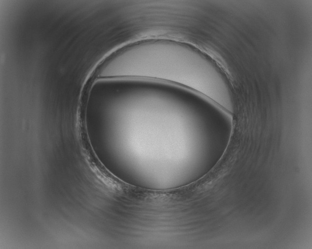 X0000074030880200608211133