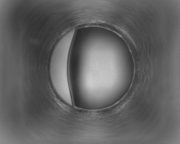 X0000074030881200608211133