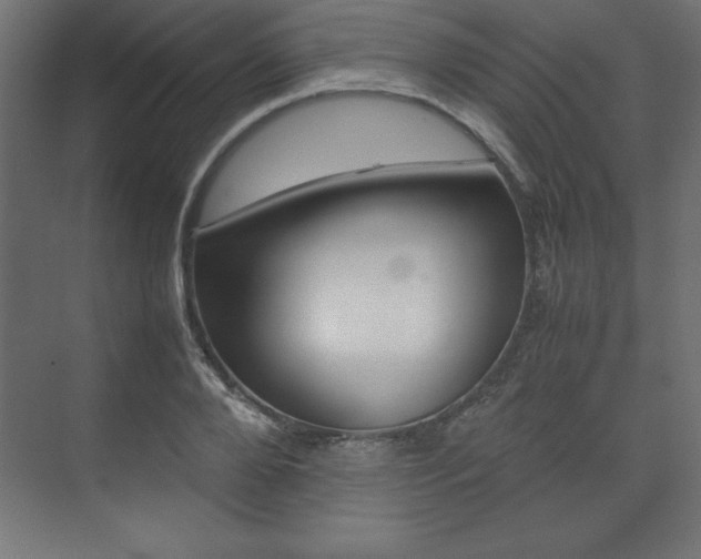 X0000074030888200608211133