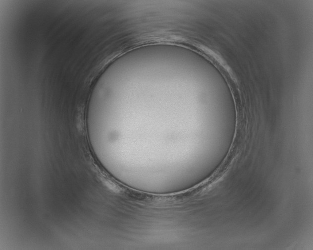 X0000074030889200608211133