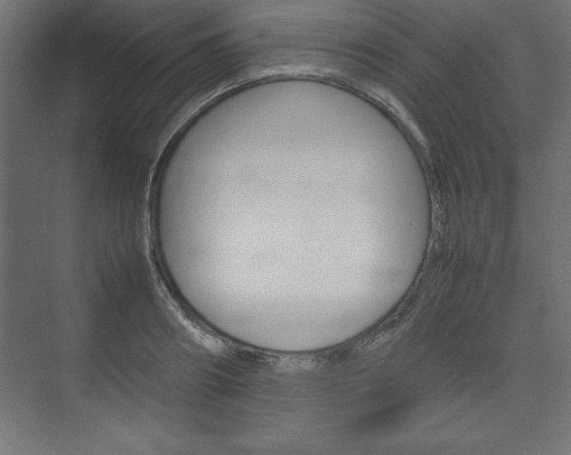 X0000074030890200608211133