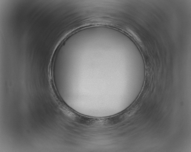 X0000074030891200608211133
